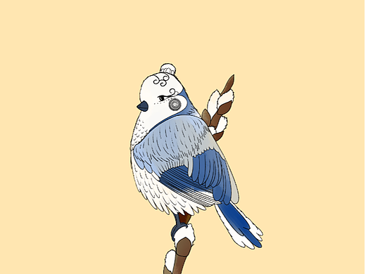 商插练习第四天