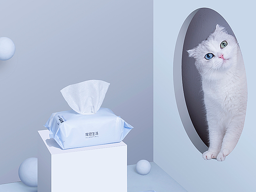 宠物用品拍摄 | 猫咪洗护 猫咪湿纸巾 x 万有引力摄影