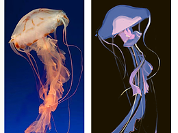 色彩派對(duì)60天DAY08