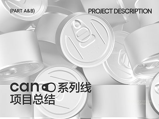 项目总结|CAN系列线