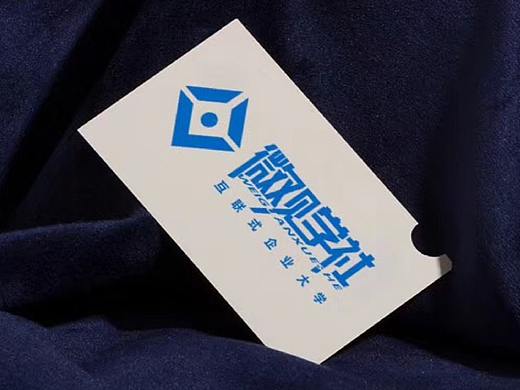 【智汇蚁原创】微观学社logo与VI应用设计