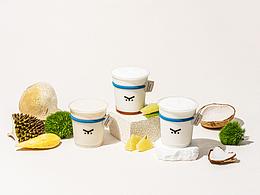 coconut shake 木雙耳椰