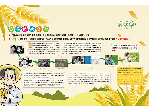 袁隆平水稻宣传展板