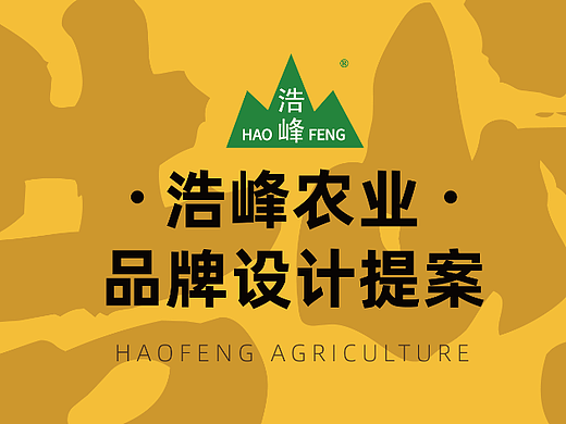 玉米视觉升级方案