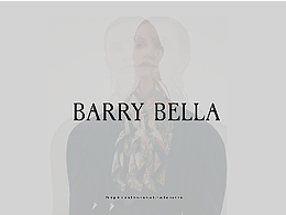 logo設(shè)計(jì)vi整套