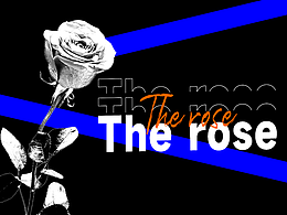 玫瑰藍(lán)色方塊排版