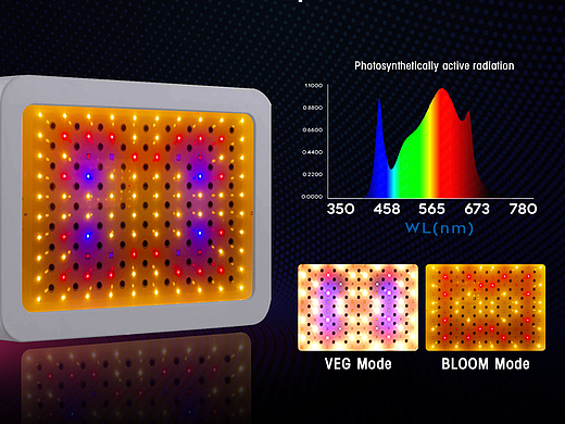 亚马逊植物照灯（个人主页-ZNjE4Mjc5MDA=） - 电商 - 站酷设计师狼人7原创素材 - 站酷ZCOOL