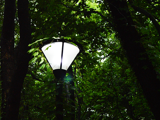 我想你懂的 一些绿和静谧