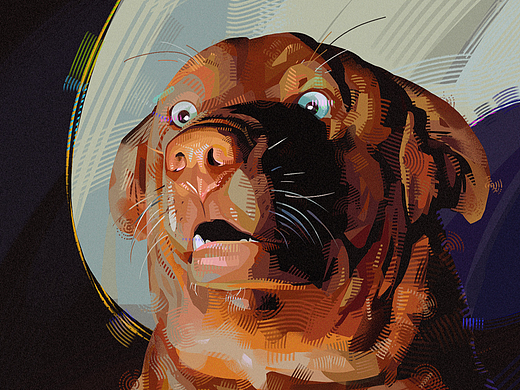 卷太狠了试试能不能转行吧