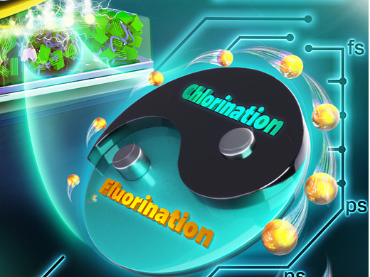 科研绘图-SCI封面