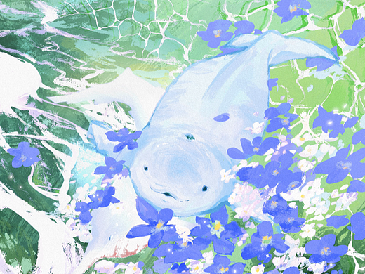 珍稀动物丨江河的呼唤