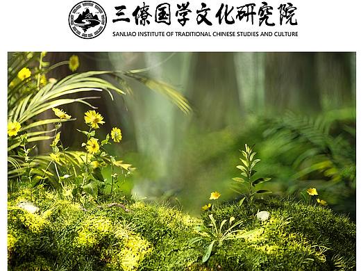 三僚国学文化研究院：办公室植物的风水作用与影响解析