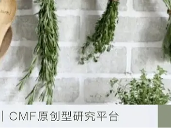 CMF 帝龙新材发布2024色彩趋势预测：数据分析+深度探讨未来应用策略