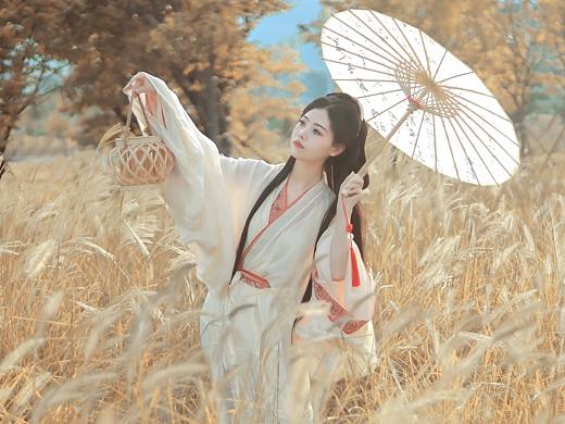 【战国袍】蒹葭苍苍，白露为霜