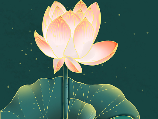 荷花练习