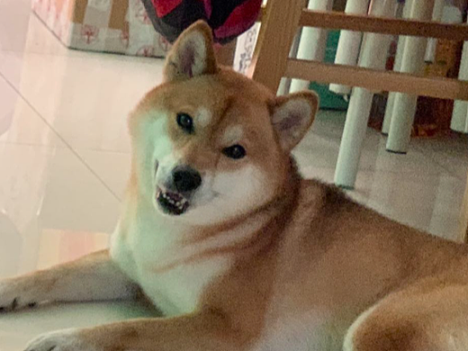 妈妈永远的小可爱