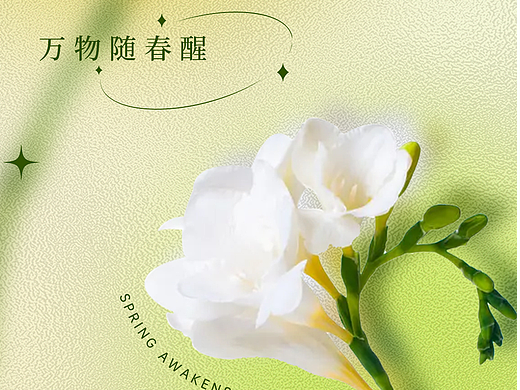 节气海报（个人主页-ZNjg3MTE0MjA=） - 海报 - 站酷设计师Z86505956原创素材 - 站酷ZCOOL