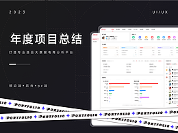 「2023」年度項(xiàng)目總結(jié)