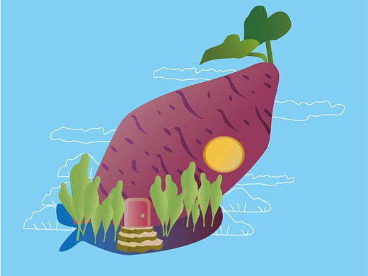蔬菜插画