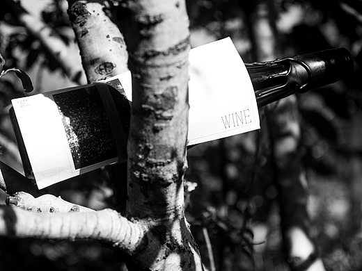 CLOSE TO ABYSS / WINE