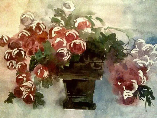 玫瑰花束