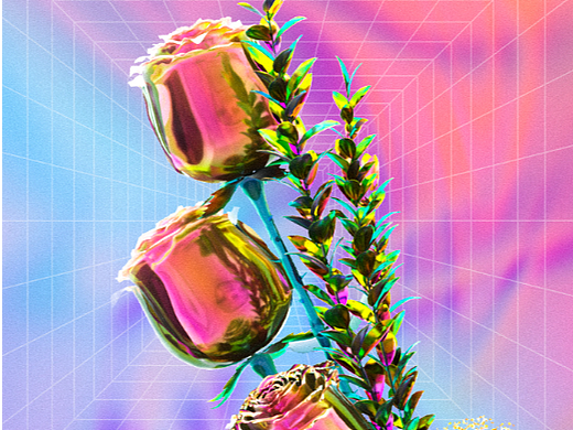 玫瑰花