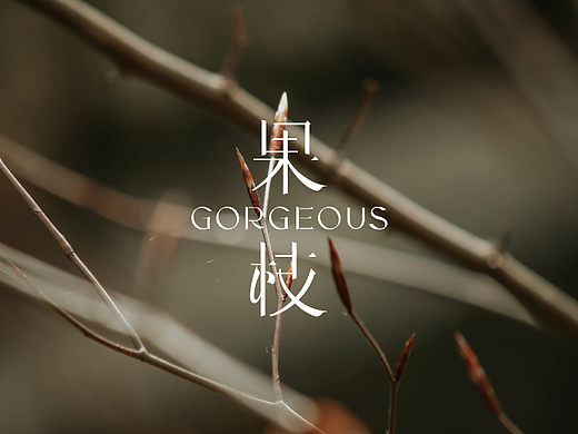 【品牌】GORGEOUS果枝 品牌设计
