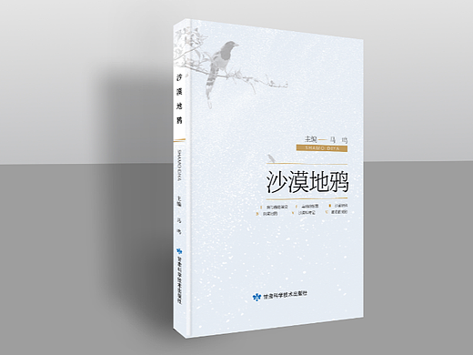 书籍装帧封面设计