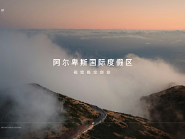 alps阿尔卑斯提报陪标稿