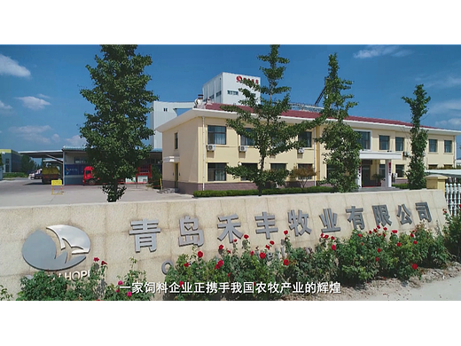 青島禾豐牧業(yè)有限公司（個人主頁-ZNjYwNjI1NTI=） - 宣傳片 - 站酷設計師夕暮LLL原創(chuàng)素材 - 站酷ZCOOL