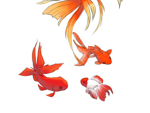 画师繁星2.0 第二期第一周