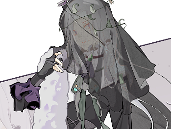 黑百合