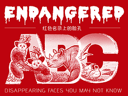 红色名录上的脸孔 —— 正在消失的它们【上篇】