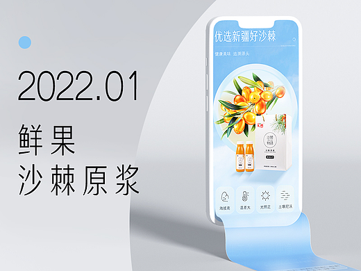 沙棘详情