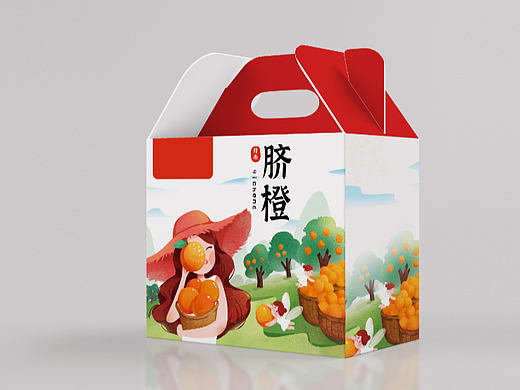 原创作品 橙子包装案例