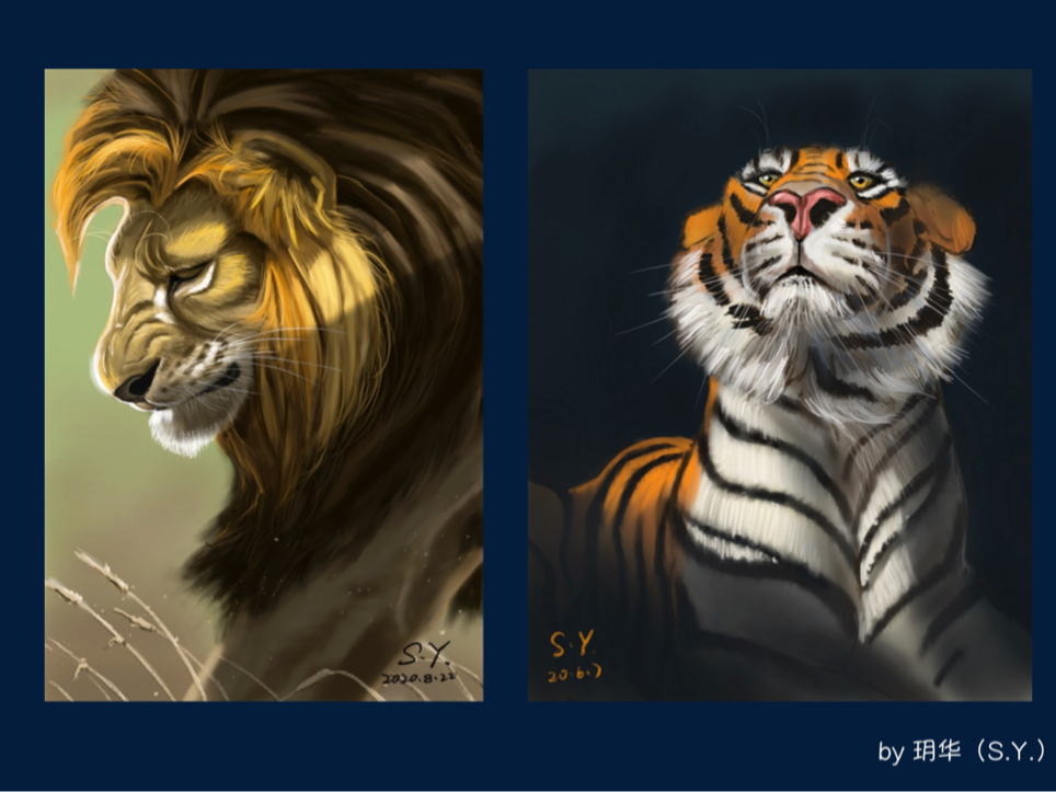 procreate手绘作品集_山阴玥华-站酷ZCOOL