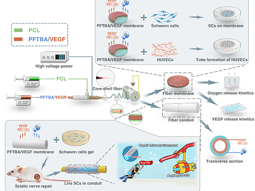 野马科研会欣赏