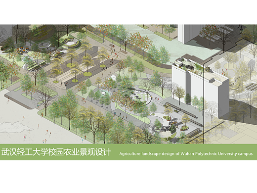 武汉轻工大学校园农业景观设计