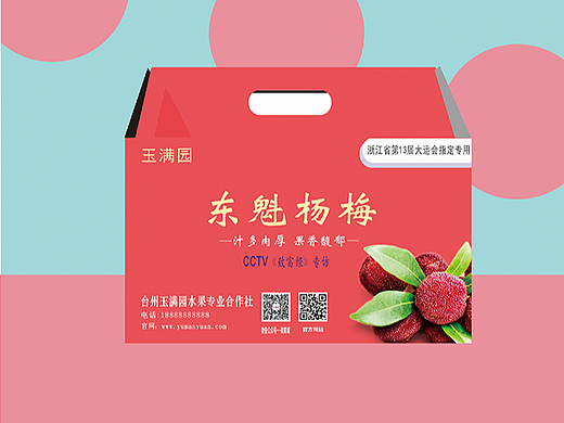 水果杨梅包装设计