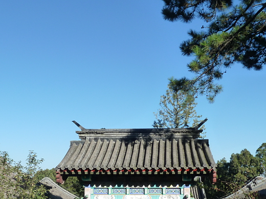 香山红叶