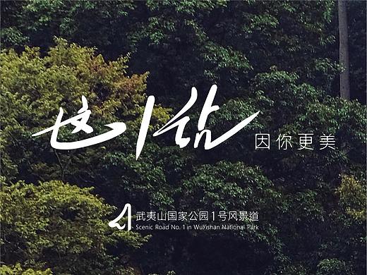 武夷山国家公园1号风景道-品牌LOGO设计&宣传口号