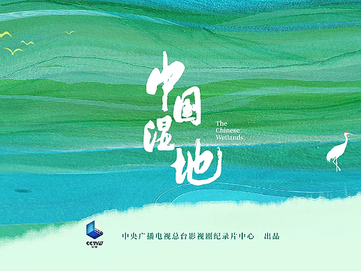 CCTV9纪录片《中国湿地》海报设计