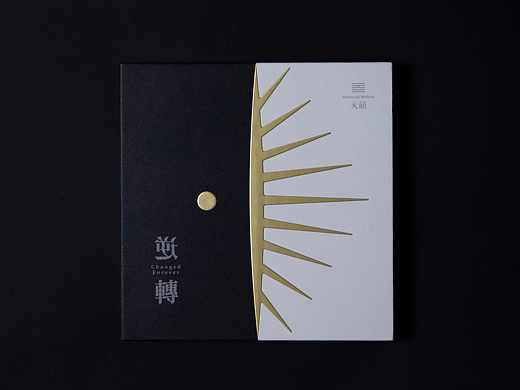 《逆转》创作专辑装帧设计