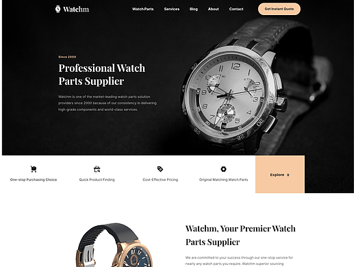 外贸官网 / 配件手表网站