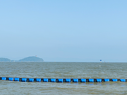 夏日-太湖-洋甘菊