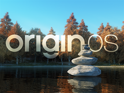 Origin OS
