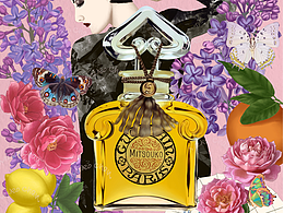 香水插畫（蝴蝶夫人）