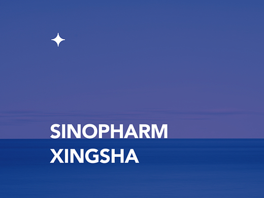 国控星鲨品牌logo及周年徽章