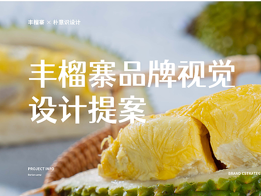 丰榴寨榴莲店品牌vi设计