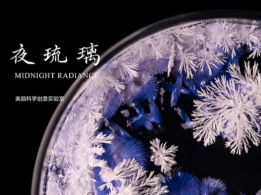夜琉璃｜星辰垂影参然，夜放千花树